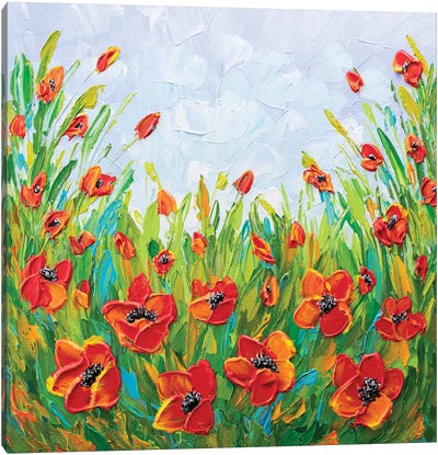 Poppy Field II Canvas Art Print - Poppy Art