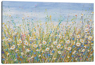 Daisies In July Canvas Art Print - Olga Tkachyk