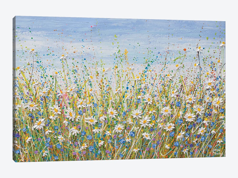 Daisies In July by Olga Tkachyk 1-piece Canvas Print