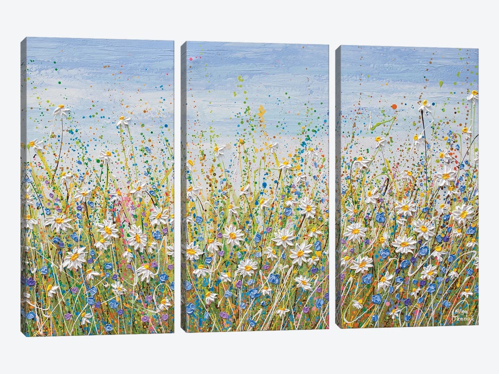 Daisies In July by Olga Tkachyk 3-piece Canvas Print