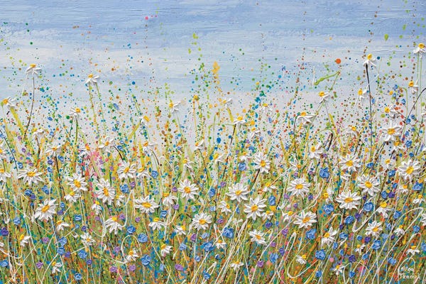 Daisies: Daisies In July by Olga Tkachyk