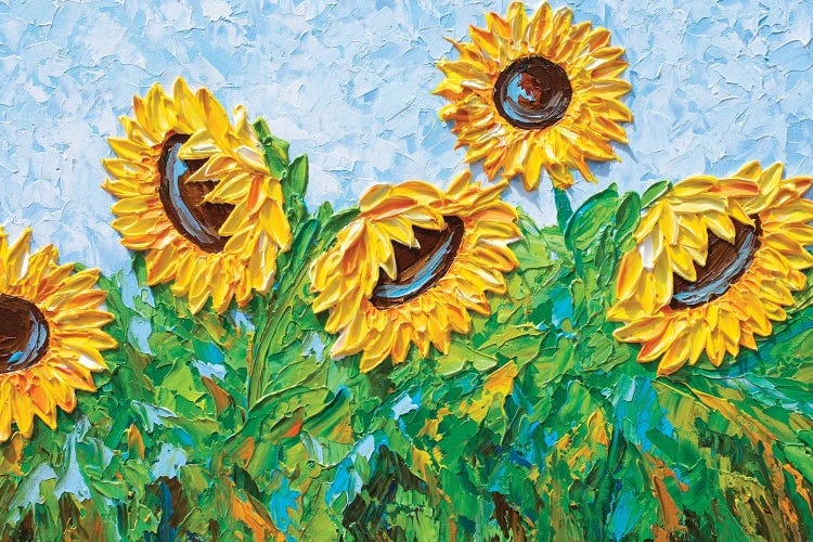 Sunflowers In August