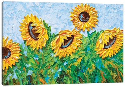 Sunflowers In August Canvas Art Print - Olga Tkachyk