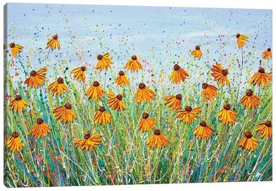 Yellow Echinacea Canvas Art Print - Olga Tkachyk