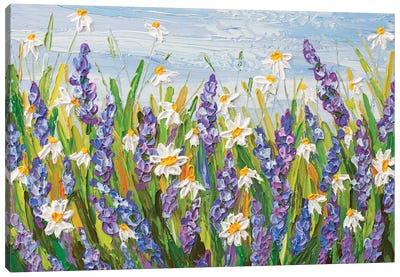 Lavender And Daisies Canvas Art Print - Daisy Art