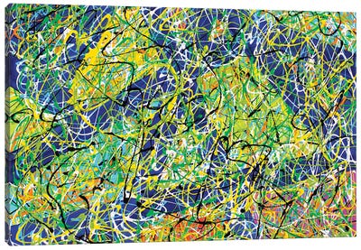 Colorful Pathways Canvas Art Print - Olga Tkachyk