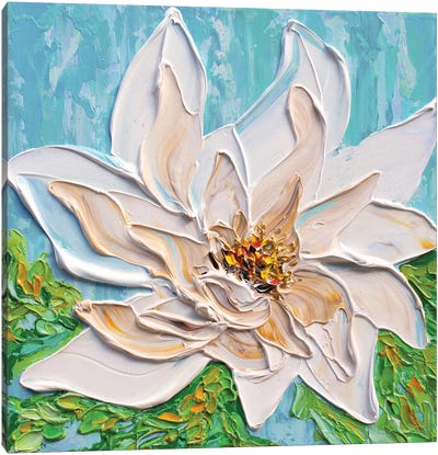White Magnolia Canvas Art Print - Olga Tkachyk