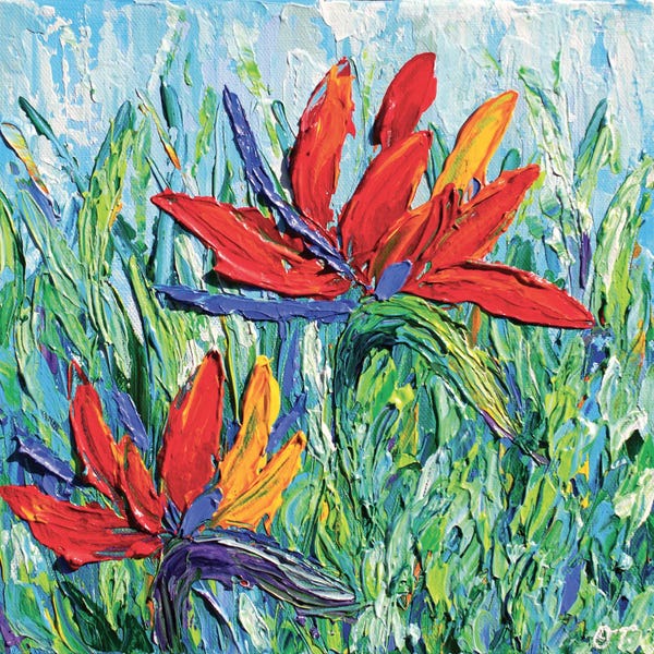 Birds Of Paradise: Bird Of Paradise by Olga Tkachyk