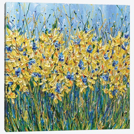 Corn Flowers Meadow Canvas Print #OTK53} by Olga Tkachyk Canvas Art