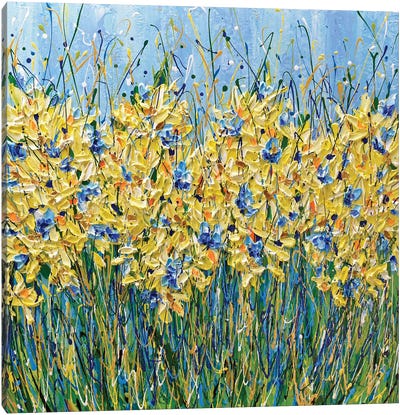 Corn Flowers Meadow Canvas Art Print - Olga Tkachyk