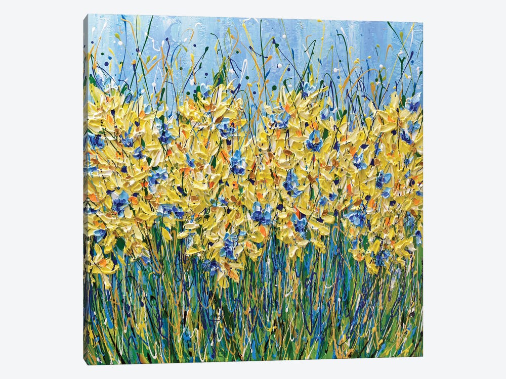 Corn Flowers Meadow by Olga Tkachyk 1-piece Canvas Art Print