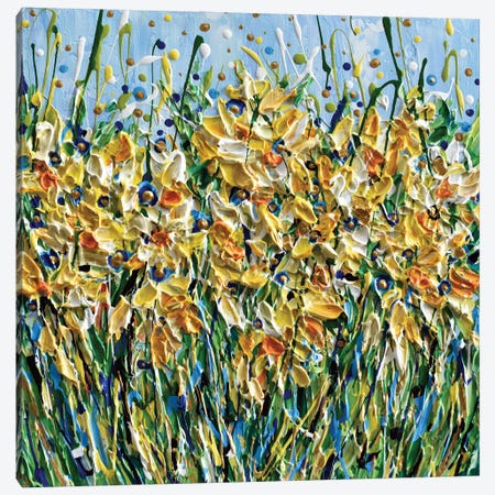 Daffodils Canvas Print #OTK56} by Olga Tkachyk Canvas Art Print