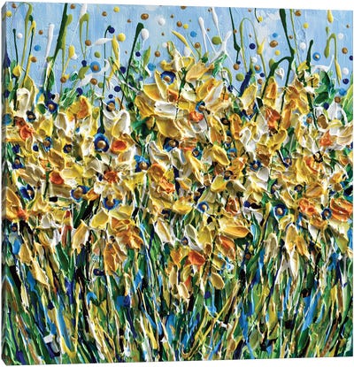 Daffodils Canvas Art Print - Olga Tkachyk