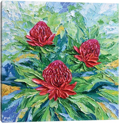 Waratah Flowers Canvas Art Print - Olga Tkachyk