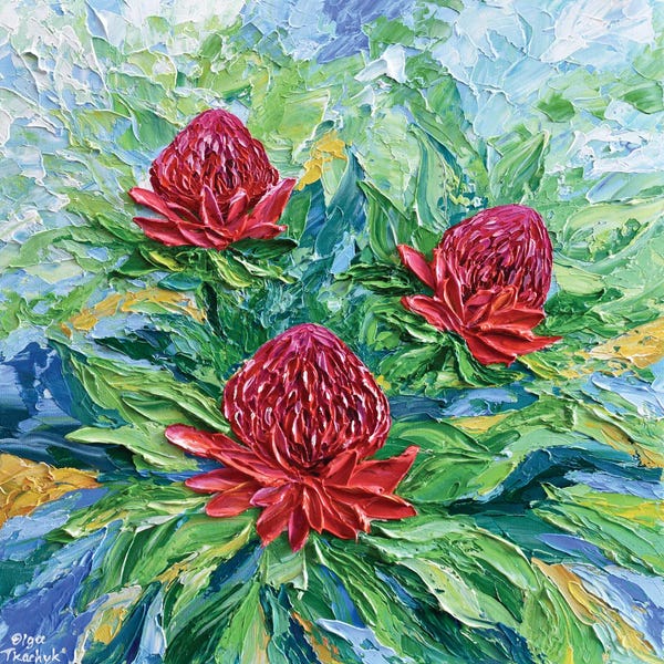 Olga Tkachyk: Waratah Flowers by Olga Tkachyk