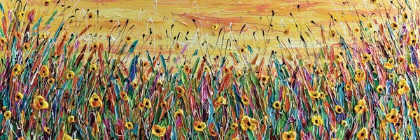 Panoramic Horizontal: Wildflower Meadow by Olga Tkachyk