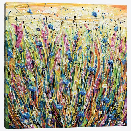 Corn Flower Field Canvas Print #OTK74} by Olga Tkachyk Canvas Art Print
