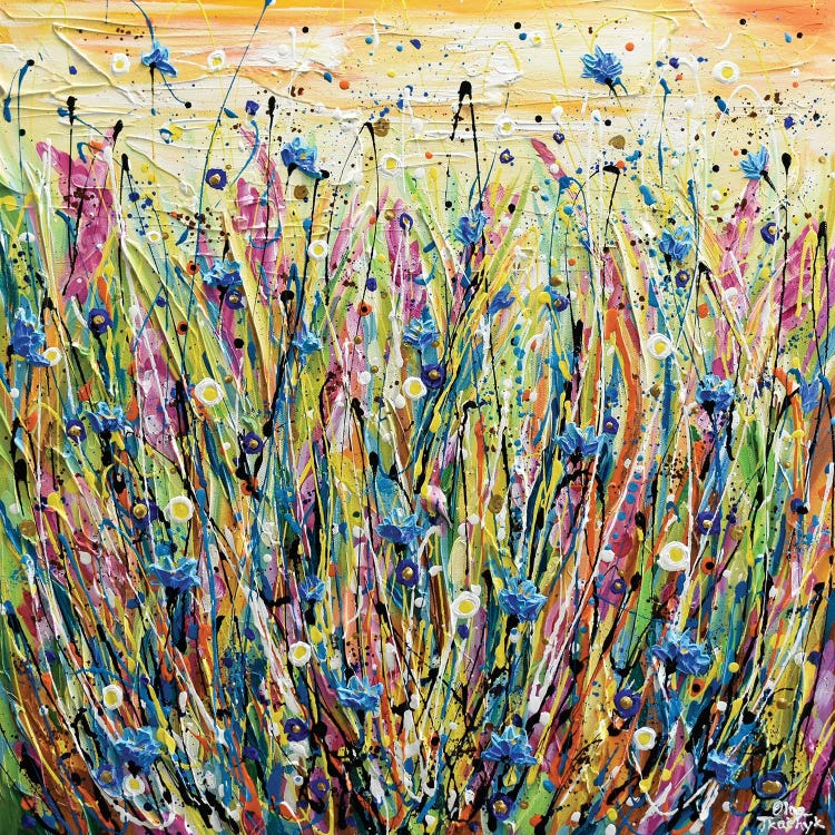 Corn Flower Field