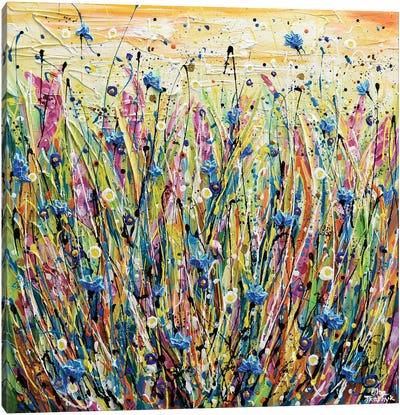 Corn Flower Field Canvas Art Print - Olga Tkachyk
