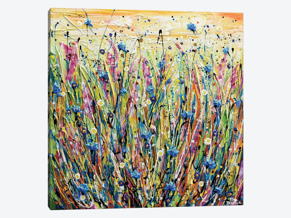 Corn Flower Field by Olga Tkachyk 1-piece Canvas Wall Art