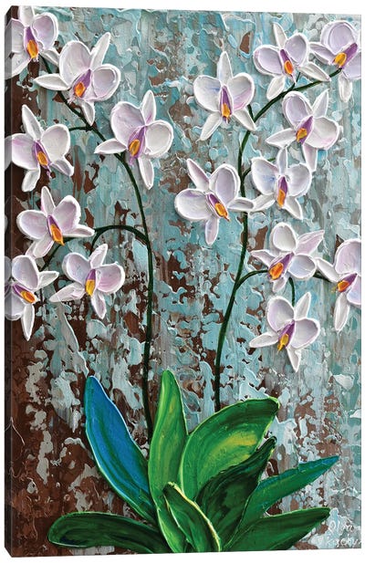 White Orchid Canvas Art Print - Olga Tkachyk