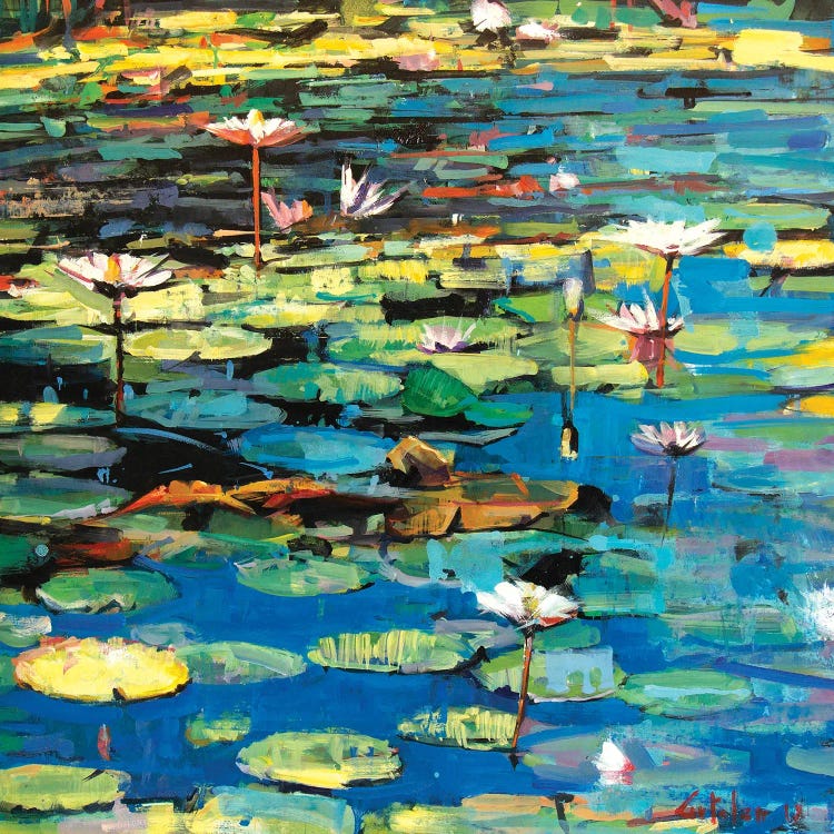 Waterlilies II