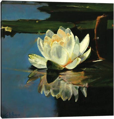 Waterlilies IV Canvas Art Print