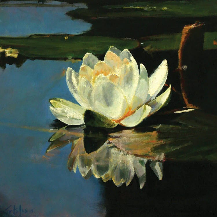 Waterlilies IV by Marco Ortolan wall art