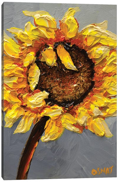 Sunflower Canvas Art Print - Osnat Tzadok