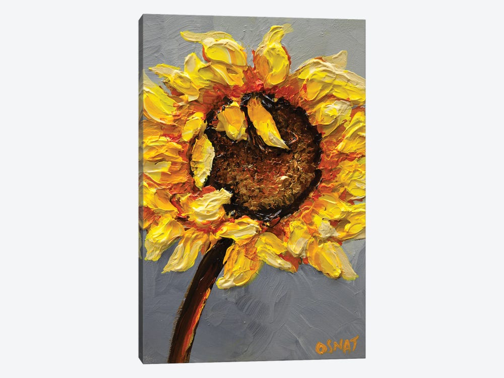Sunflower by Osnat Tzadok 1-piece Canvas Wall Art