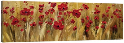 Poppies Field Canvas Art Print - Garden & Floral Landscape Art