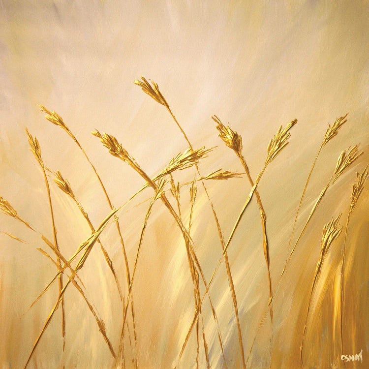 Blown In The Wind by Osnat Tzadok wall art