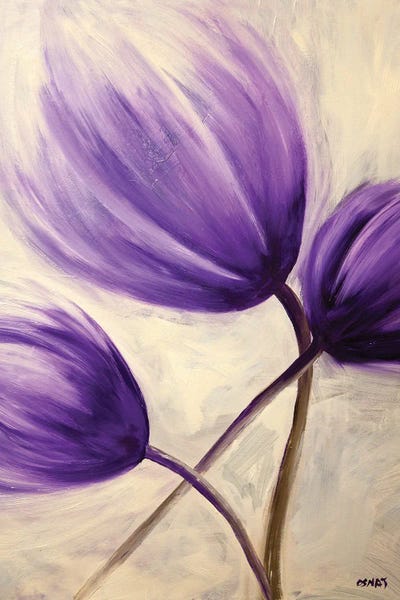 Tulips: Blossom by Osnat Tzadok