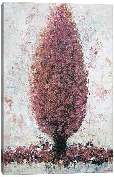 Cypress Canvas Art Print - Osnat Tzadok