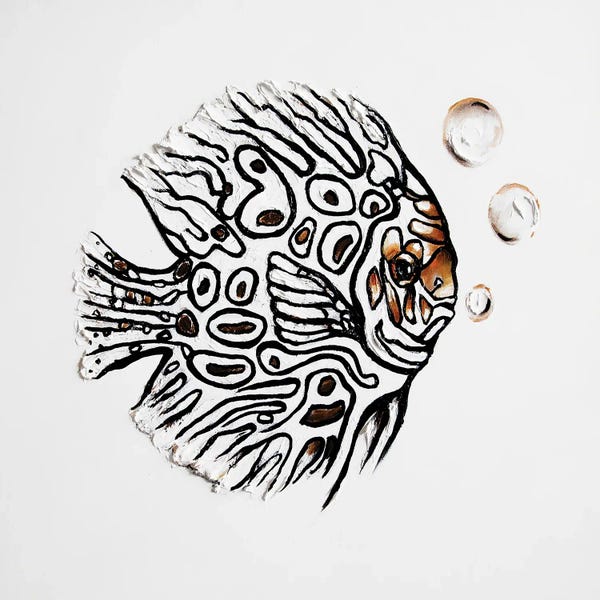 Osnat Tzadok: Discus Fish I by Osnat Tzadok