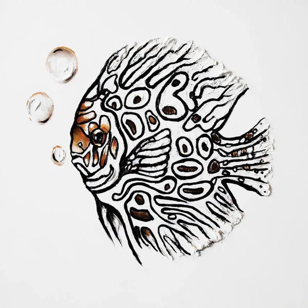 Osnat Tzadok: Discus Fish II by Osnat Tzadok