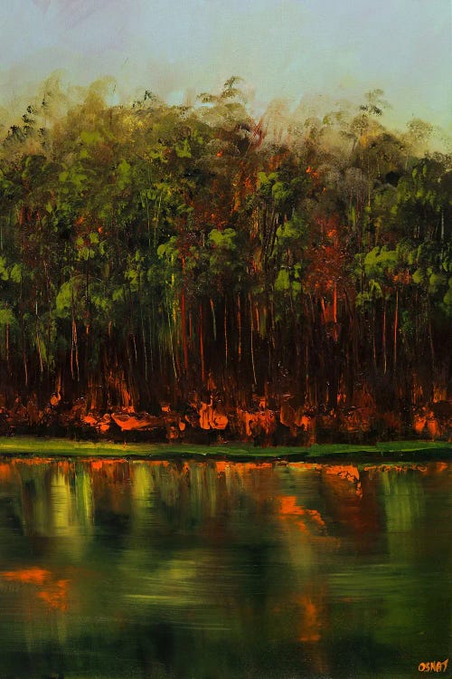 The Lake