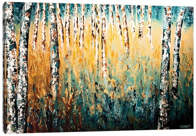 In The Wilderness Canvas Art Print - Aspen and Birch Trees