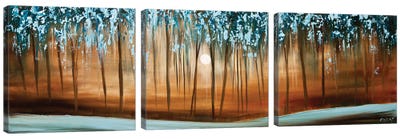 Rainforest Canvas Art Print - Panoramic & Horizontal Wall Art