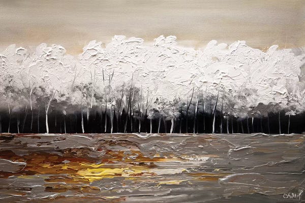 Color Fields: White Forest by Osnat Tzadok