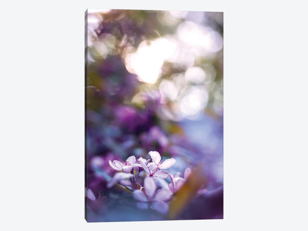 Cool Crabapple Blossoms by Maria Overlay 1-piece Canvas Wall Art