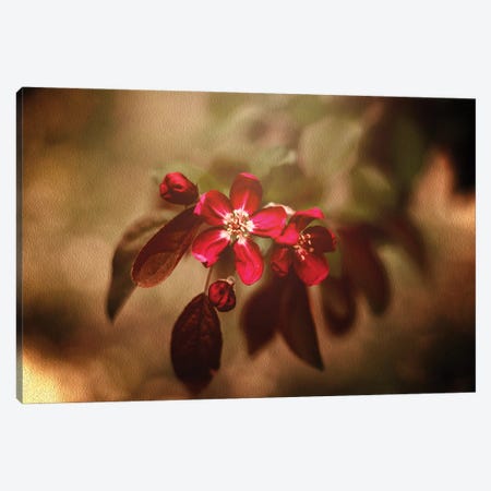 Red Florals And Texture Canvas Print #OVL105} by Maria Overlay Canvas Wall Art