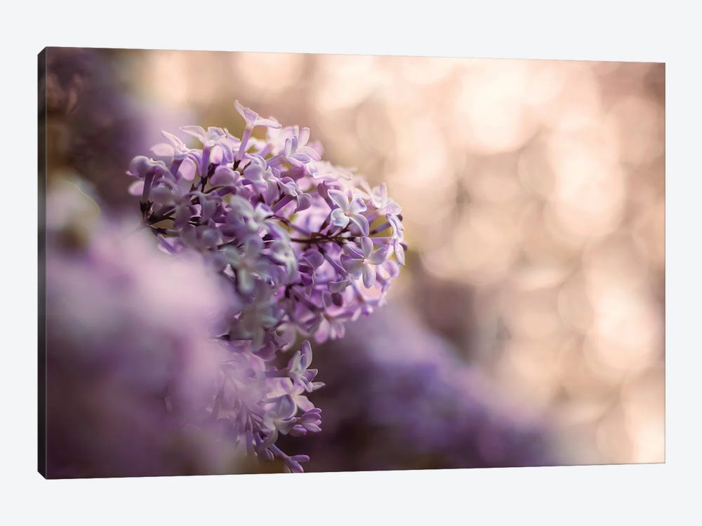 Lilacs And Bokeh by Maria Overlay 1-piece Art Print