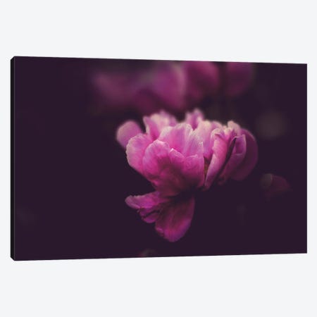 Peonies In The Dark Canvas Print #OVL113} by Maria Overlay Canvas Art
