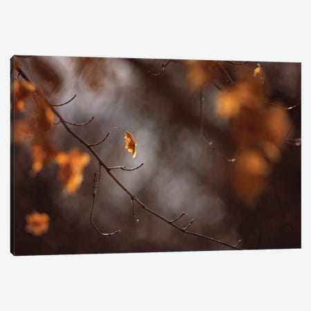 Golden Leaves Canvas Print #OVL11} by Maria Overlay Canvas Wall Art