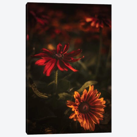 Dark Florals Canvas Print #OVL122} by Maria Overlay Art Print