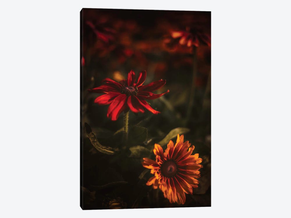 Dark Florals by Maria Overlay 1-piece Canvas Art