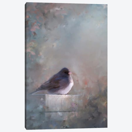 Dark Eyed Junco Painting Canvas Print #OVL128} by Maria Overlay Canvas Print