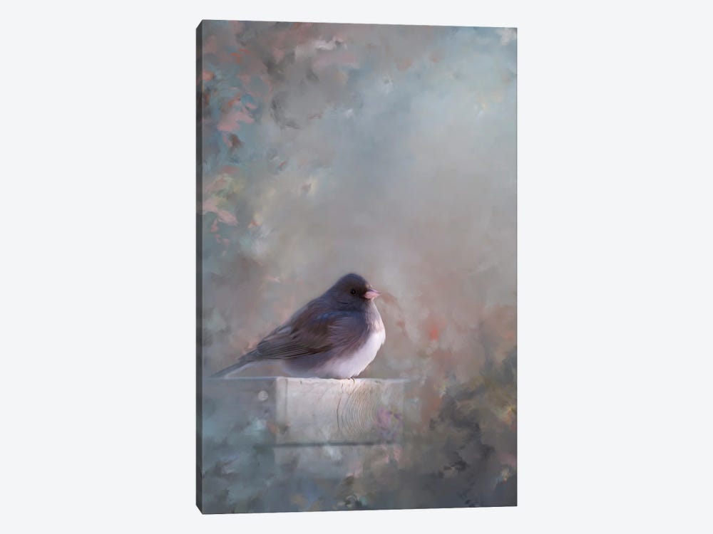 Dark Eyed Junco Painting by Maria Overlay 1-piece Canvas Artwork