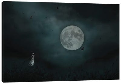 The Light Of The Moon Canvas Art Print - Maria Overlay